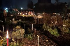 IMG_1171
